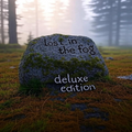 lost in the fog (Deluxe Edition) - Digital Album